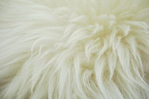 Foto About Trioni boutique